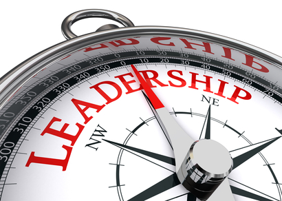 Change Leadership, Change Management - Leadership Development